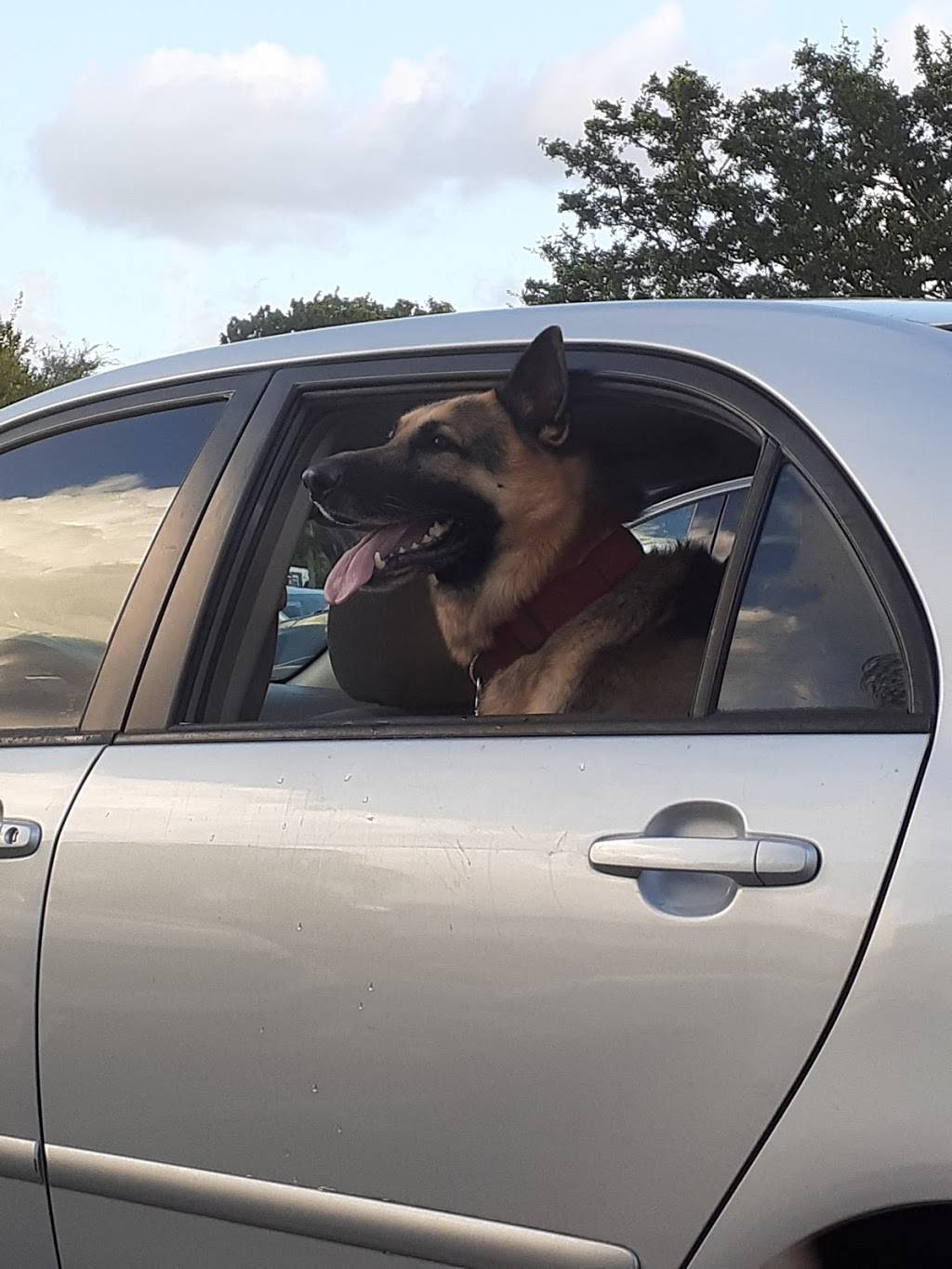 Central Park Food Station | restaurant | 10771 NW 58th St, Doral, FL 33178, USA | 7866210880 OR +1 786-621-0880