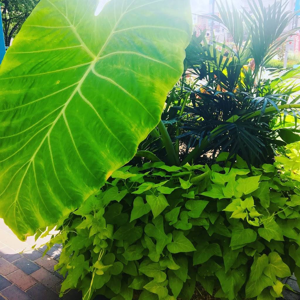 Smith & Boles Cleaning Company | restaurant | 20th W Diamond St, Philadelphia, PA 19121, USA | 2672065128 OR +1 267-206-5128