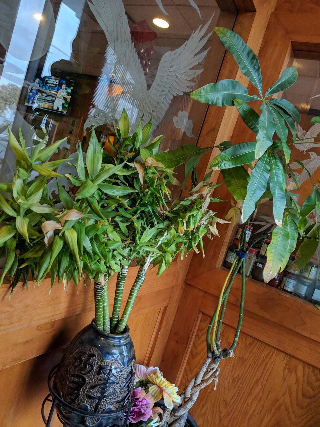 Sichuan Garden | restaurant | 110 N Interstate Hwy 35 #240, Round Rock, TX 78681, USA | 5122380098 OR +1 512-238-0098