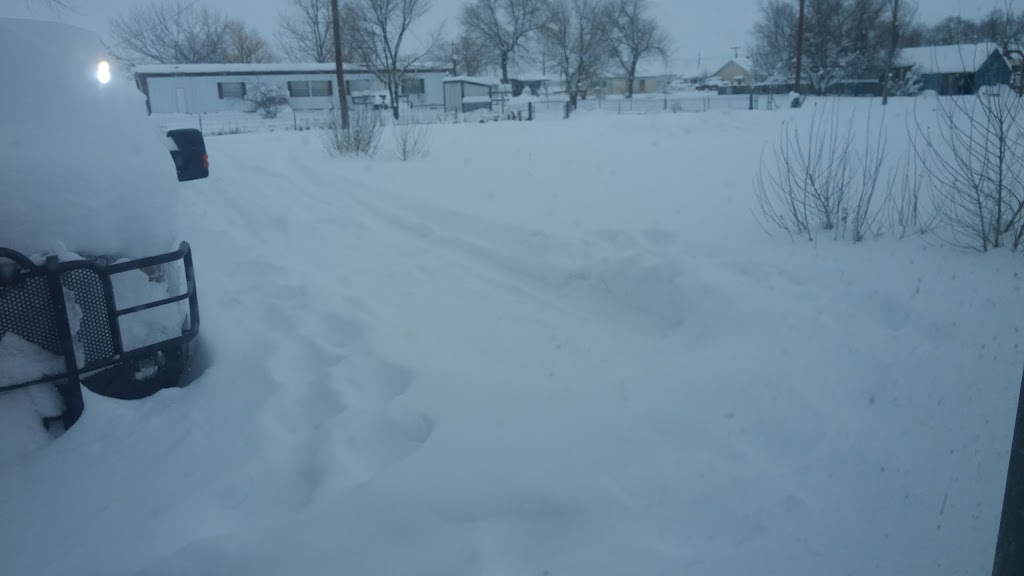 PINK PALACE BAR & GRILL | restaurant | 314 Main St, McGrew, NE 69353, USA | 3087831055 OR +1 308-783-1055