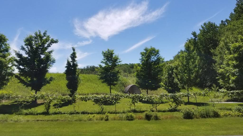 Black Star Farms Suttons Bay | restaurant | 10844 E Revold Rd, Suttons Bay, MI 49682, USA | 2319441270 OR +1 231-944-1270