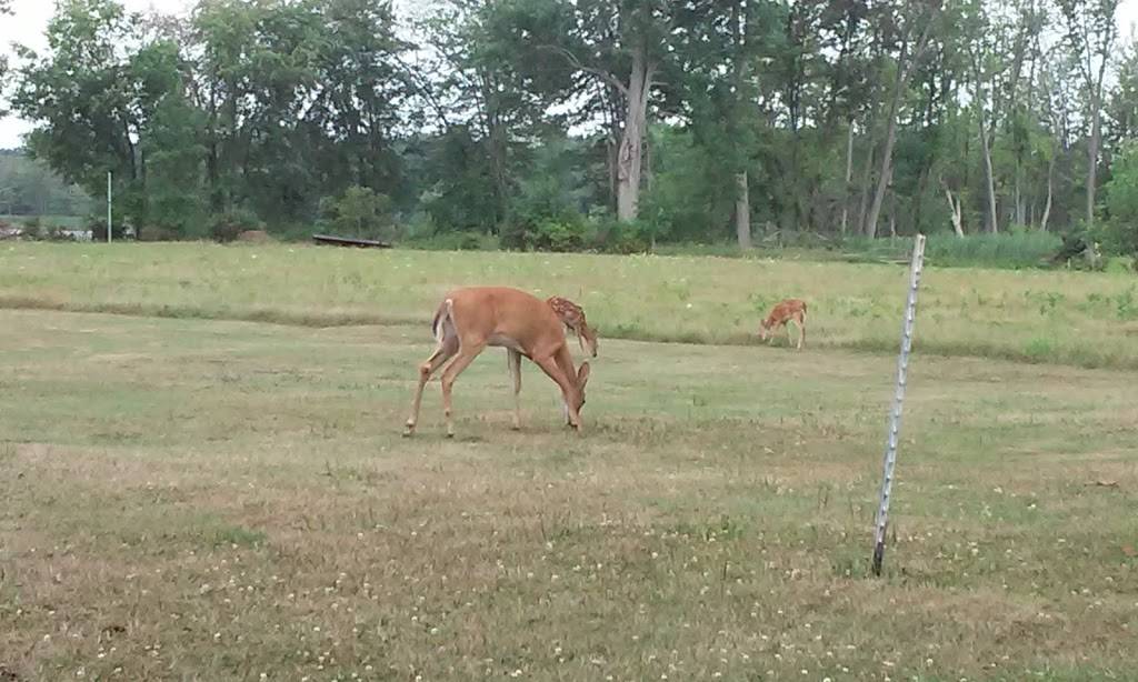 Sugarbush Golf Club & Banquet Center | restaurant | 1 Sugarbush Dr, Davison, MI 48423, USA | 8106533326 OR +1 810-653-3326