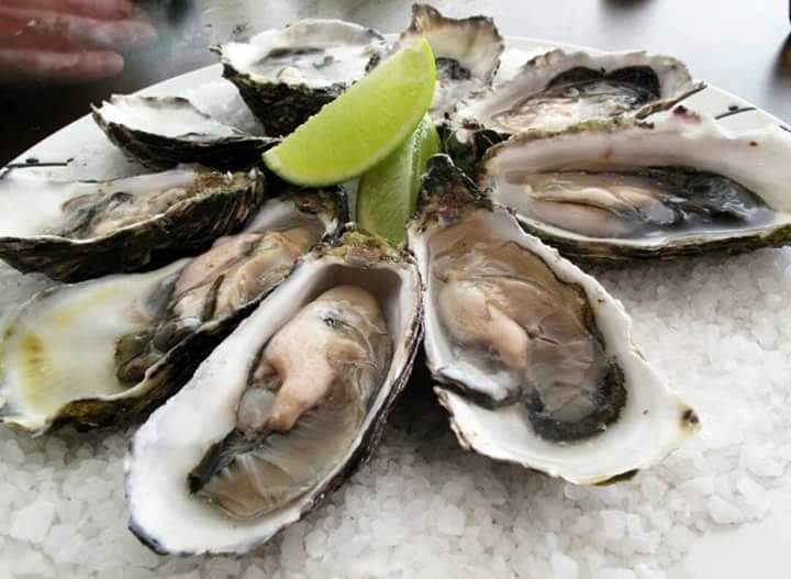 El Pollo Alegre | restaurant | 1211 N Tennessee St, McKinney, TX 75069, USA | 2145443725 OR +1 214-544-3725