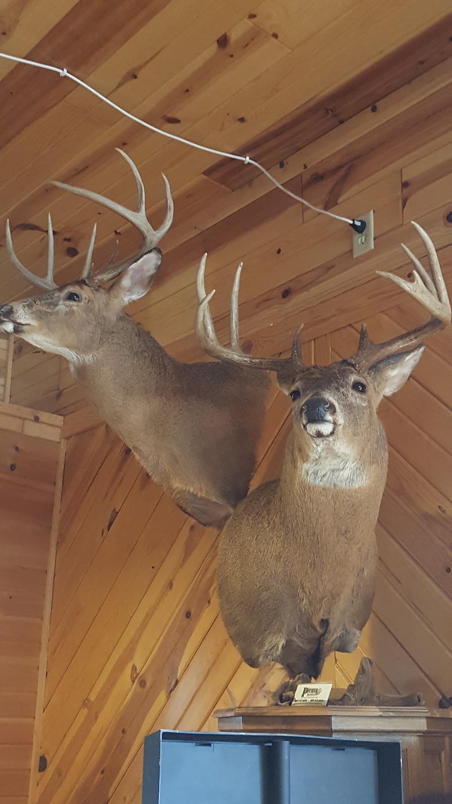 TKs 400 Club | restaurant | W6621 US-12, Black River Falls, WI 54615, USA | 7152840072 OR +1 715-284-0072