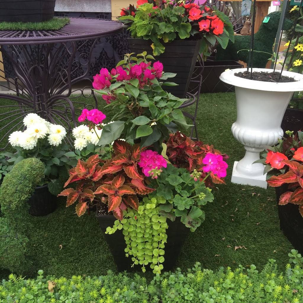 Wildhagen Greenhouses | restaurant | 7291 Milburough Line, Milton, ON L0P 1B0, Canada | 9056898427 OR +1 905-689-8427