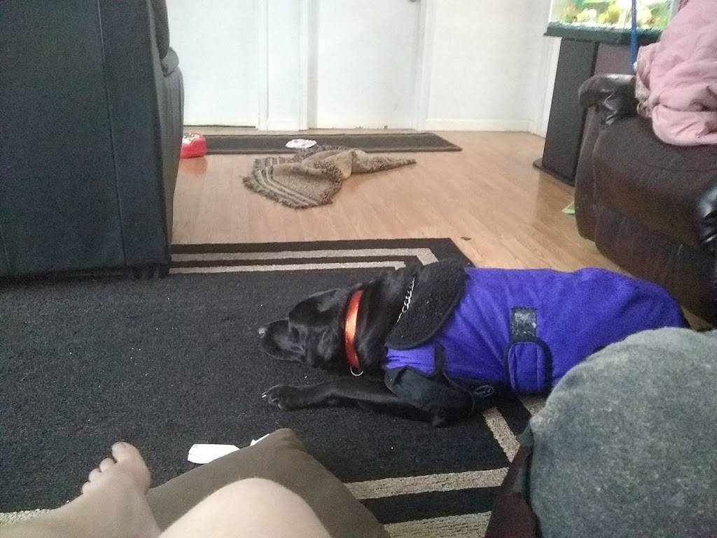 Kings Restaurant | restaurant | 1780 N National Ave, Chehalis, WA 98532, USA | 3607409702 OR +1 360-740-9702