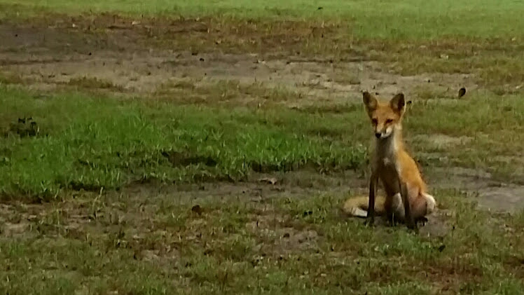 Sunkist Country Club Bar & Grill | restaurant | 2381 Sunkist Country Club Rd, Biloxi, MS 39532, USA | 2283883961 OR +1 228-388-3961