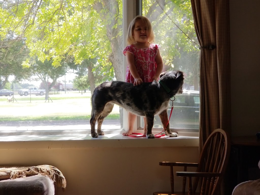 Main Street Dugout | restaurant | 223 Main St, Grainfield, KS 67737, USA | 7856734810 OR +1 785-673-4810