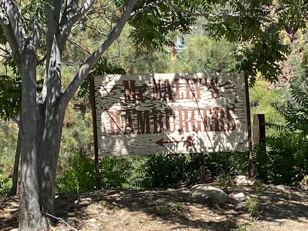 McNallys Burger Stand | restaurant | 1941 Kern River Hwy, Kernville, CA 93238, USA | 7603762430 OR +1 760-376-2430