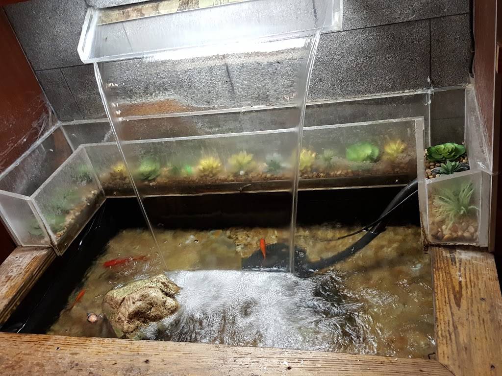 Lees Szechuan | restaurant | 672 Old Mill Rd, Millersville, MD 21108, USA | 4109876111 OR +1 410-987-6111