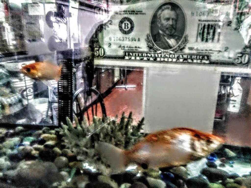 New Nice China Town | restaurant | 1411 Foster Ave, Brooklyn, NY 11230, USA | 7188597357 OR +1 718-859-7357