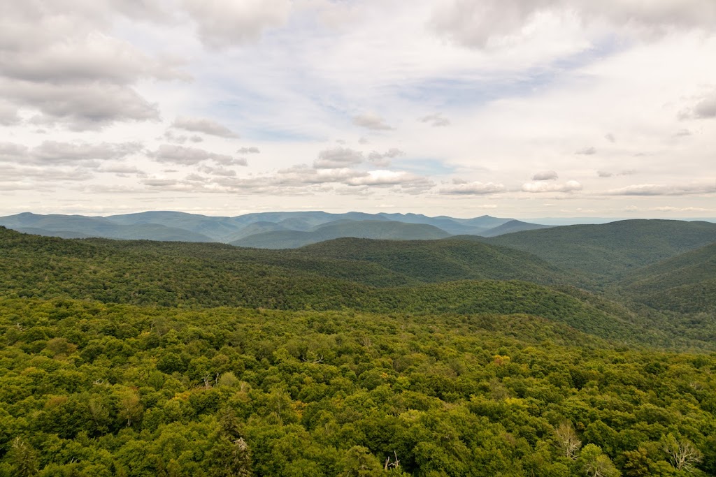 Urban Cowboy Lodge | restaurant | 37 Alpine Rd, Big Indian, NY 12410, USA | 8452545026 OR +1 845-254-5026