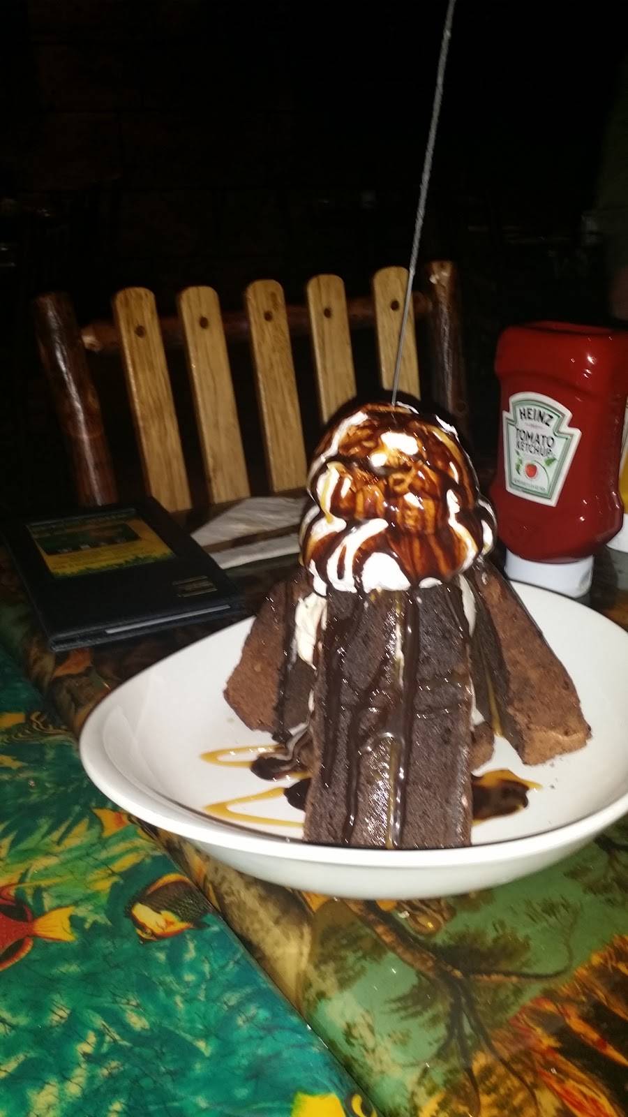 Rainforest Cafe | restaurant | 5000 Katy Mills Cir, Katy, TX 77494, USA | 2816446200 OR +1 281-644-6200