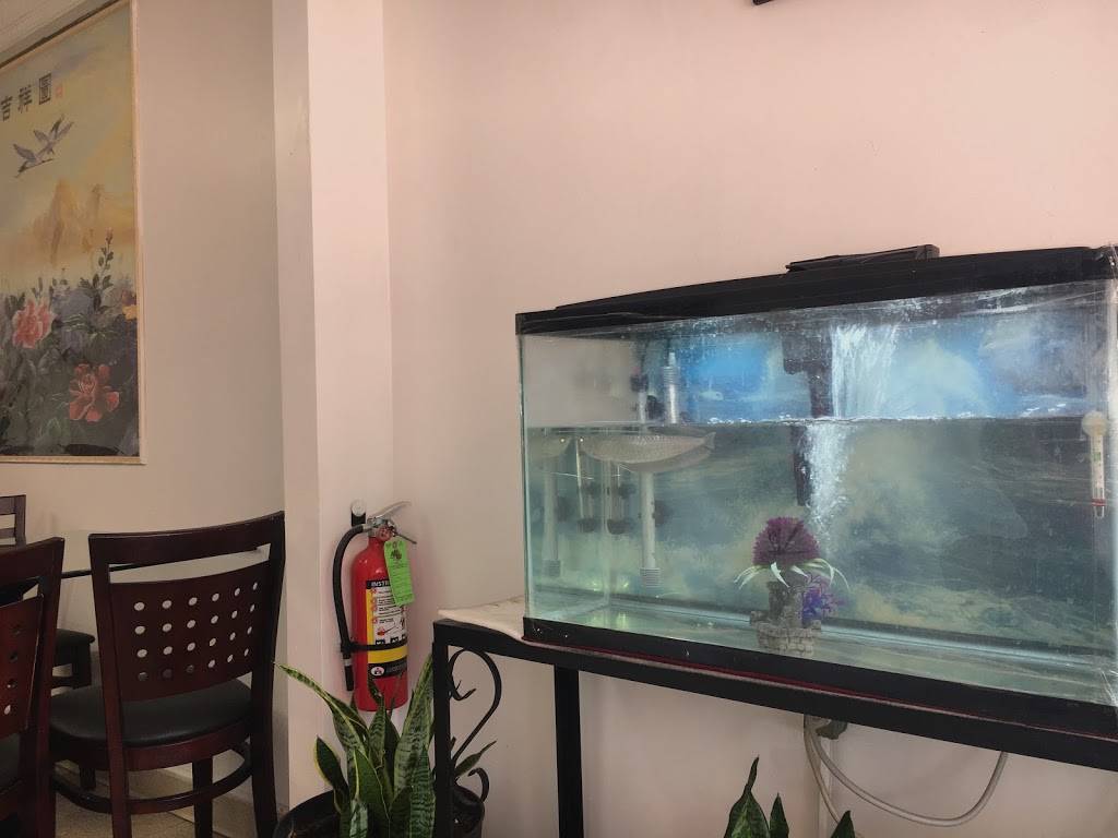 Golden Star | meal takeaway | 217 Harry L Dr, Johnson City, NY 13790, USA | 6077297888 OR +1 607-729-7888