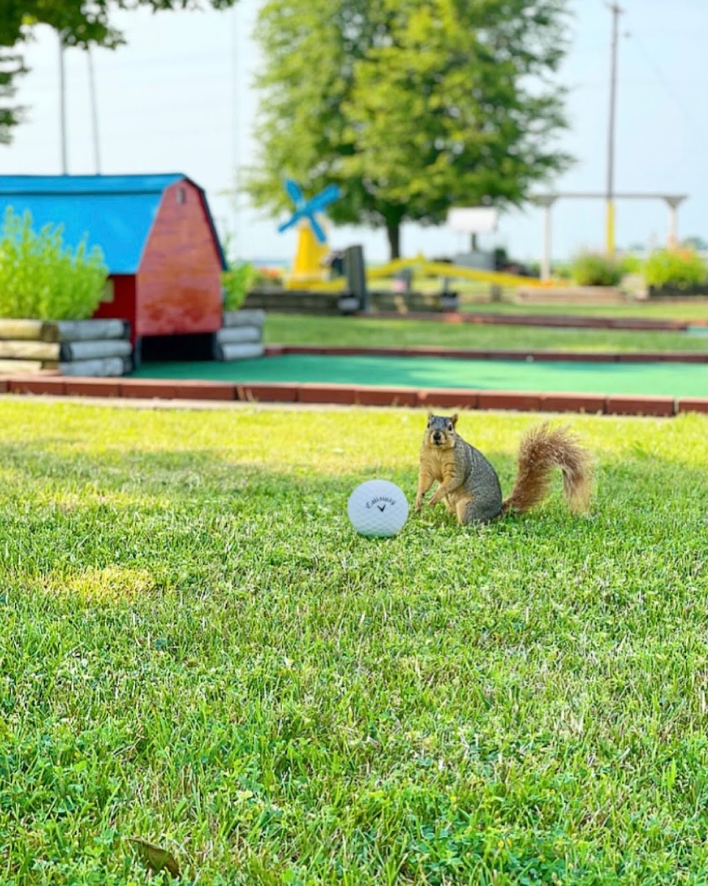 Hollow Acres Golf Center | restaurant | 8291 US-421, Monticello, IN 47960, USA | 5749652182 OR +1 574-965-2182