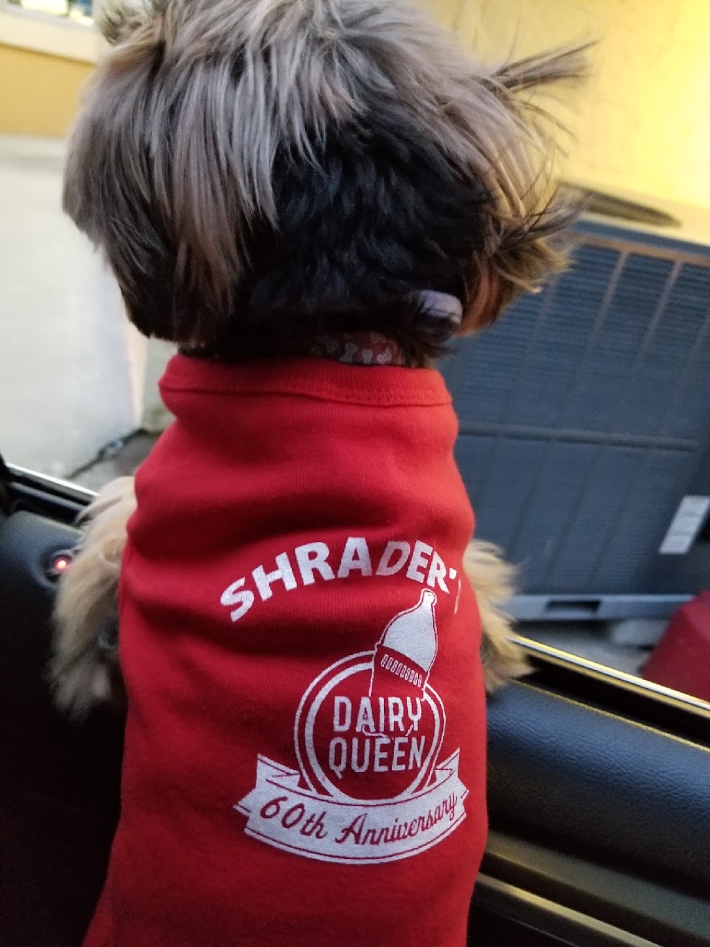 Shrader’s Dairy Queen | restaurant | 1244 College Ave, Jeannette, PA 15644, USA | 7245235522 OR +1 724-523-5522