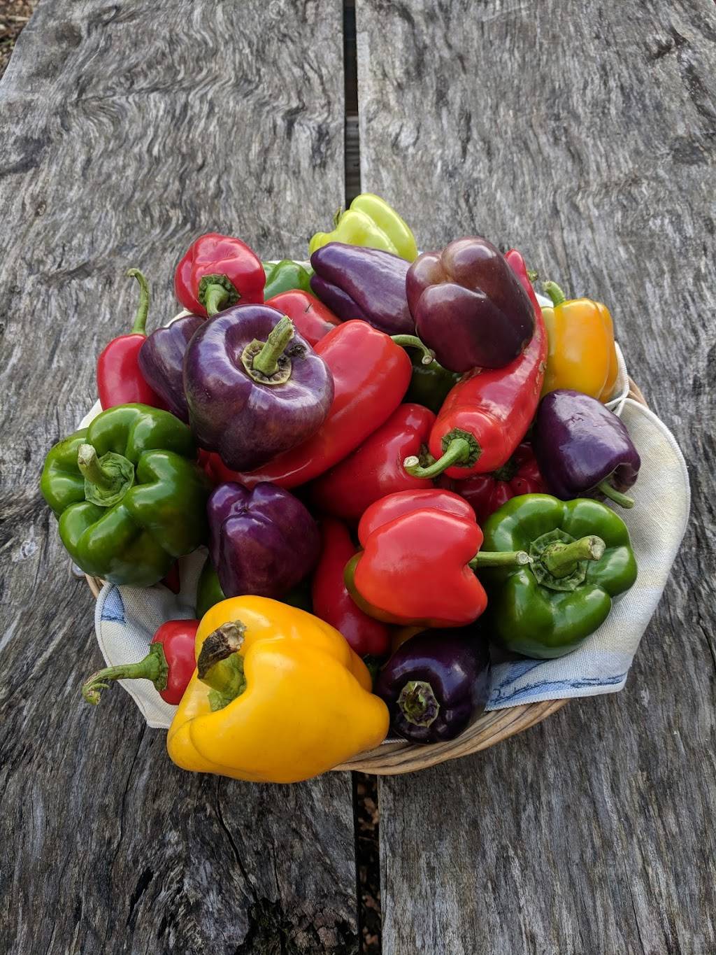 JoshuaColin Experience | restaurant | 568 College Hwy, Southwick, MA 01077, USA | 4134544870 OR +1 413-454-4870