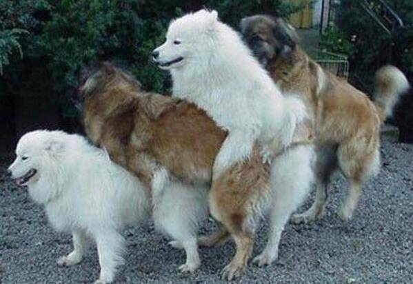 Taco Bell | meal takeaway | 3480 Ernest W Barrett Pkwy SW, Marietta, GA 30064, USA | 7704218815 OR +1 770-421-8815