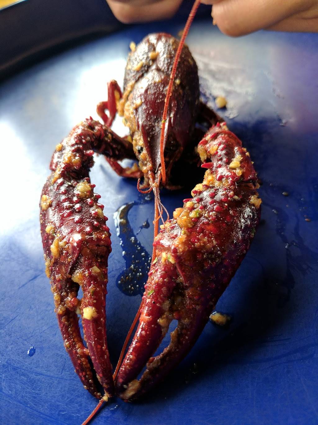 88 Boiling crawfish & Seafood Restaurant | restaurant | 1910 Wilcrest Dr, Houston, TX 77042, USA | 7137898288 OR +1 713-789-8288