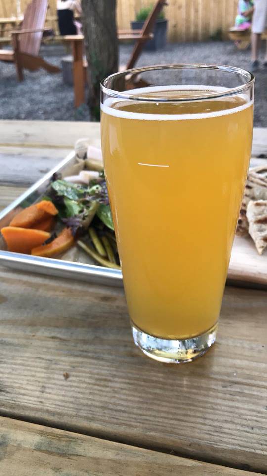 Woodstock Brewing | restaurant | 5581 NY-28, Phoenicia, NY 12464, USA | 8456880054 OR +1 845-688-0054