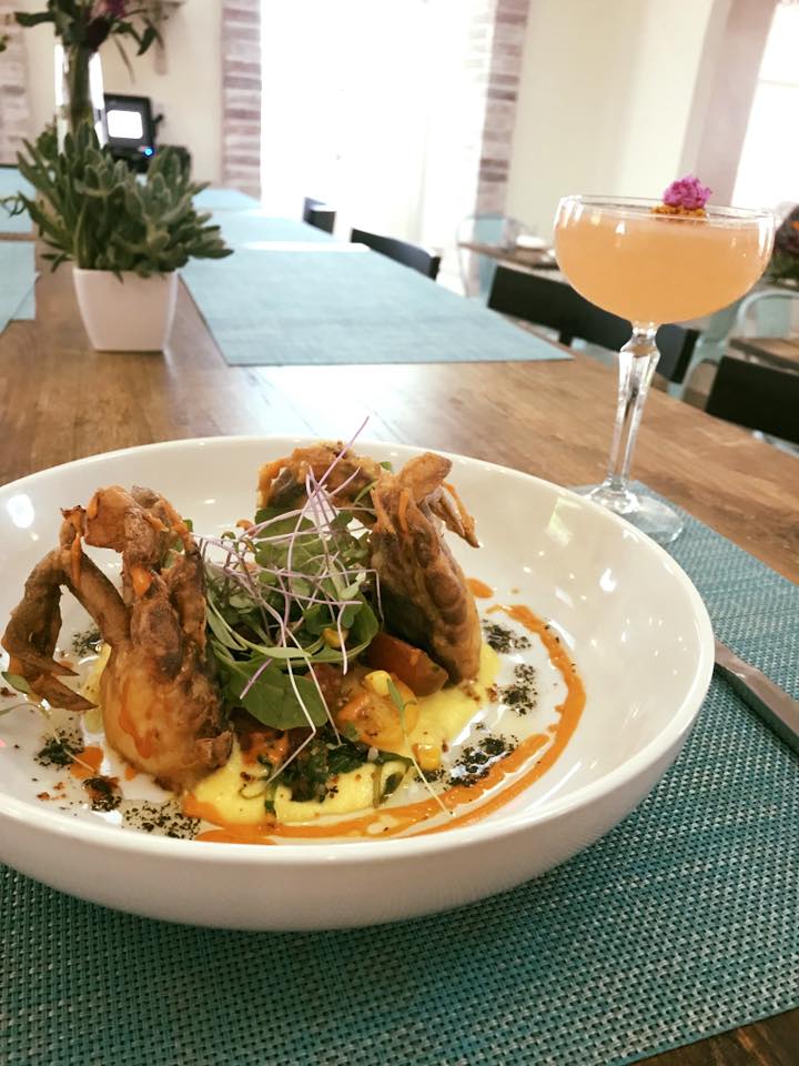 F&B | restaurant | 3109 Padre Blvd, South Padre Island, TX 78597, USA | 9567728114 OR +1 956-772-8114