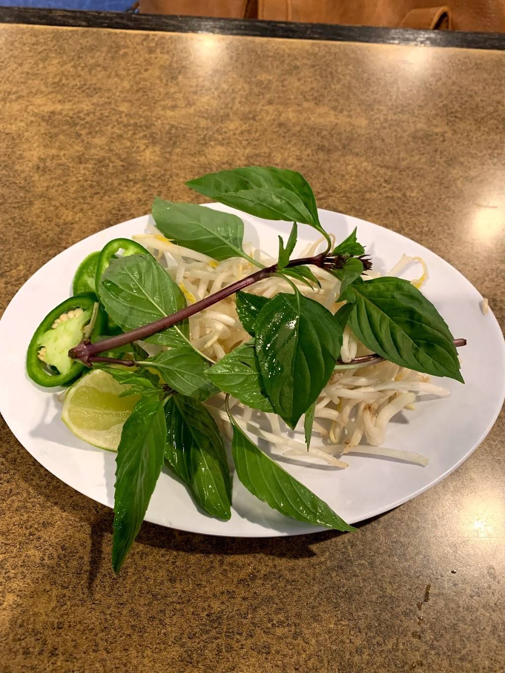 Phở Ao Sen | restaurant | 665 San Pablo Ave, Albany, CA 94706, USA | 5106795000 OR +1 510-679-5000