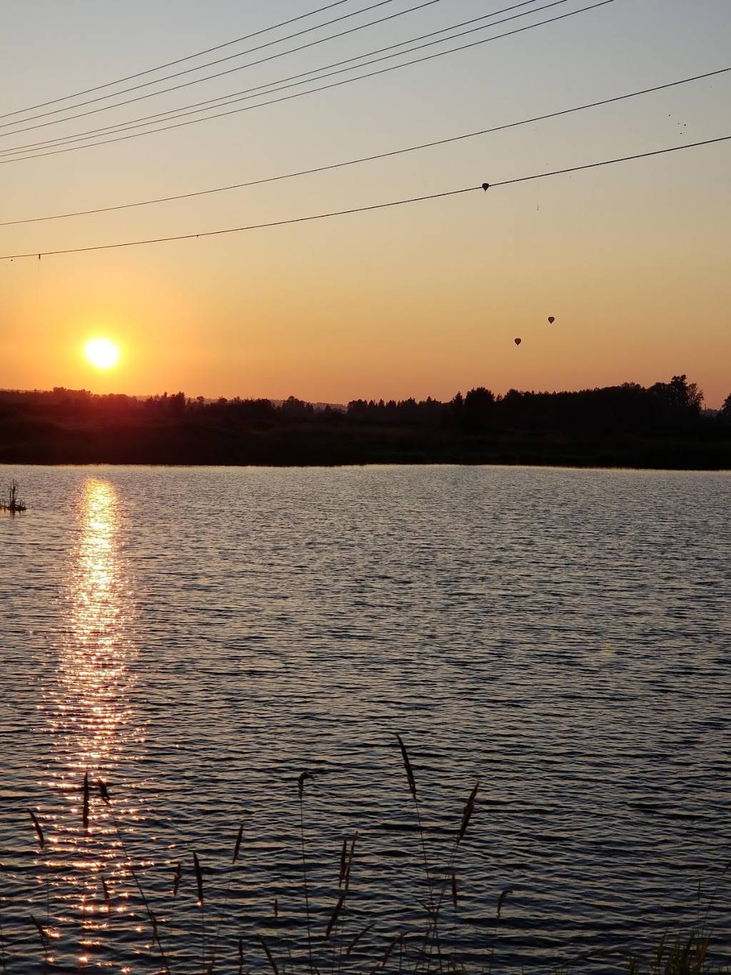 El Paraiso Mexican Grill Monroe | restaurant | 14090 Fryelands Blvd, Monroe, WA 98272, USA | 3602948579 OR +1 360-294-8579