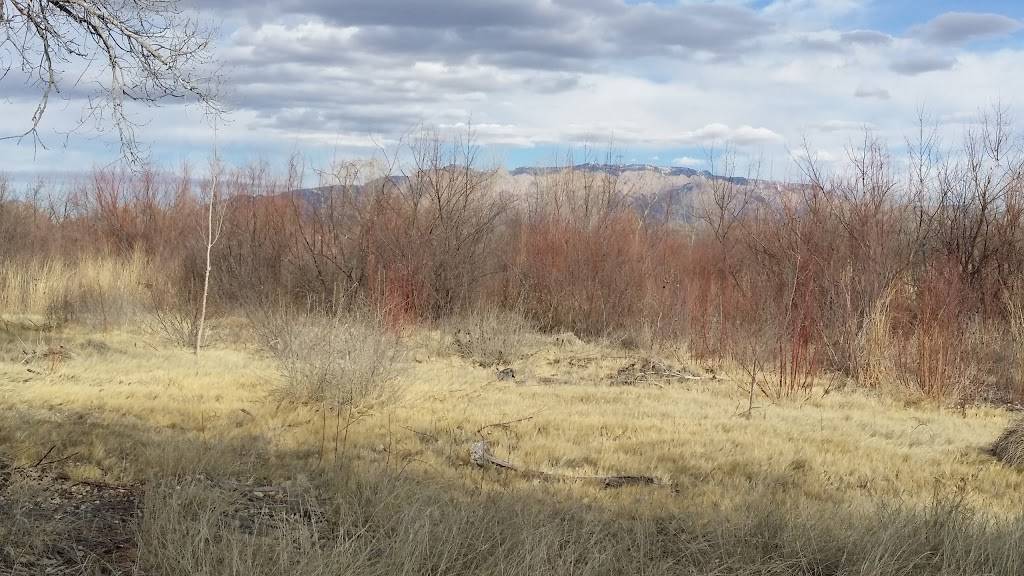 Panda Express | meal takeaway | 3601 Bosque Plaza Ln NW, Albuquerque, NM 87120, USA | 5058976790 OR +1 505-897-6790