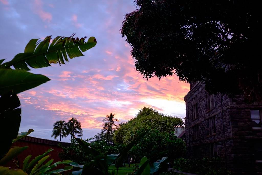 Bishop Museum Café by Highway Inn | cafe | 1525 Bernice St, Honolulu, HI 96817, USA | 8089544951 OR +1 808-954-4951