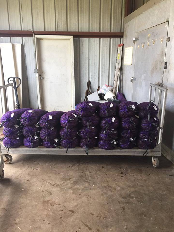 D&E Crawfish on the Go | restaurant | 517 South St, Mamou, LA 70554, USA | 3374598785 OR +1 337-459-8785