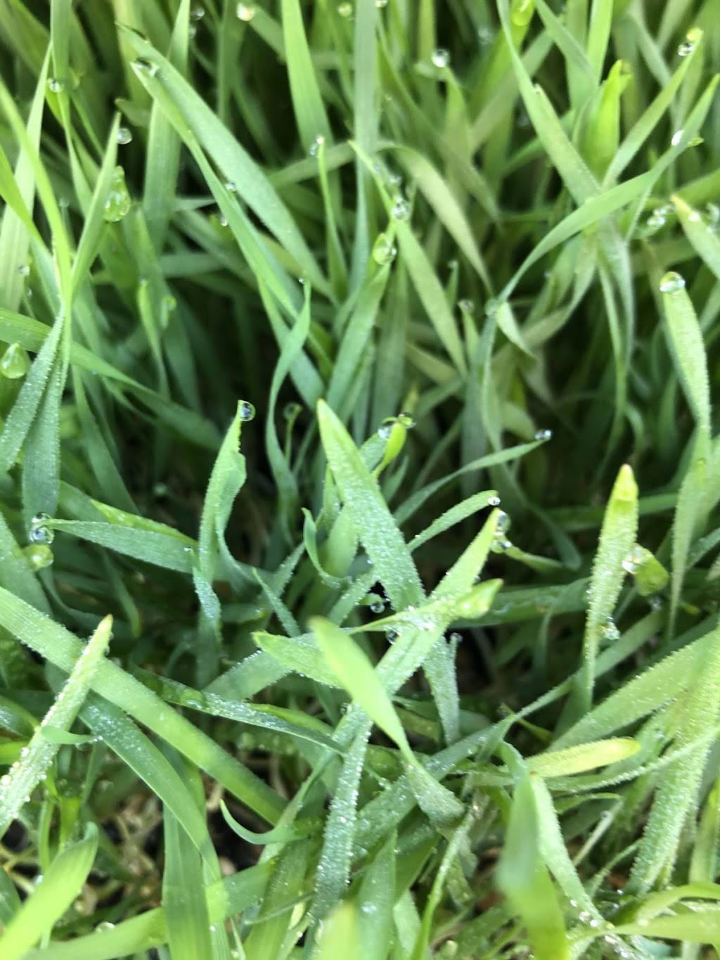 Microgreens R Us | restaurant | 4871 Conrad Ave, San Diego, CA 92117, USA | 8586100333 OR +1 858-610-0333