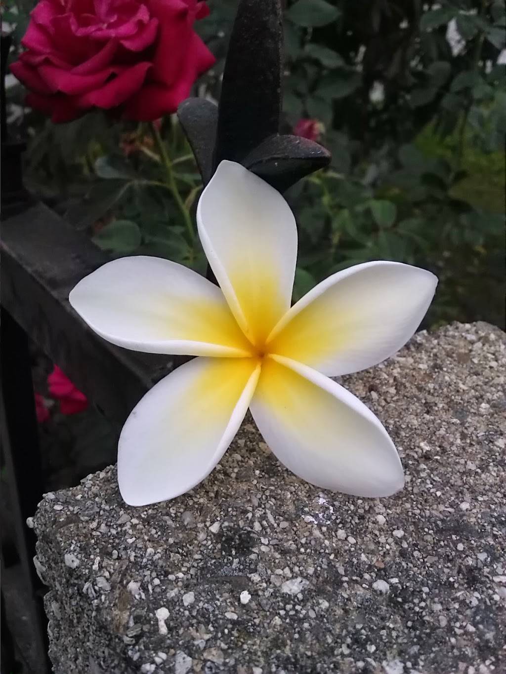 Jolly Boy Burgers | restaurant | 2041, 6832 E Gage Ave, Bell Gardens, CA 90201, USA | 5629271658 OR +1 562-927-1658