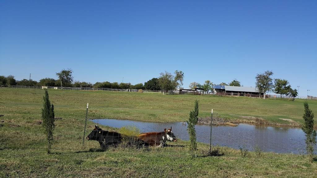 Corner Store | cafe | 1221 E New Hope Dr, Cedar Park, TX 78613, USA | 5122607795 OR +1 512-260-7795