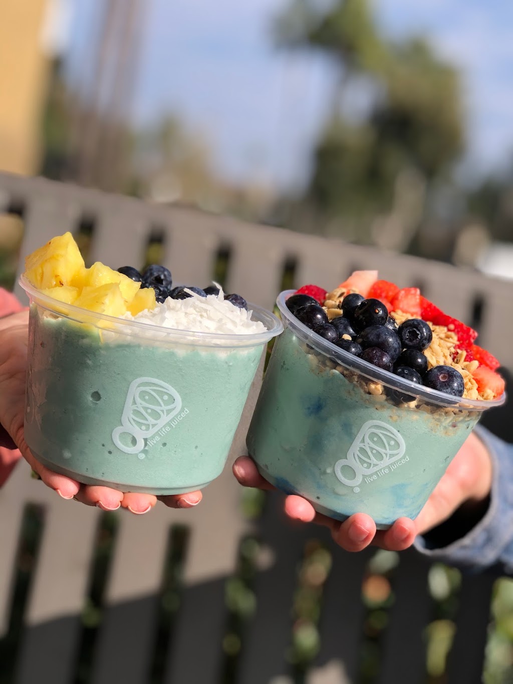 Juice It Up! | restaurant | 19069 Van Buren Boulevard Ste. 102, Riverside, CA 92508, USA | 9515658006 OR +1 951-565-8006