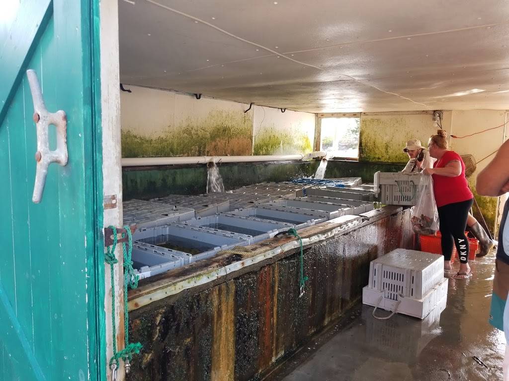 Allens Sea Food | restaurant | 119 Lookout Point Rd, Harpswell, ME 04079, USA | 2078332828 OR +1 207-833-2828