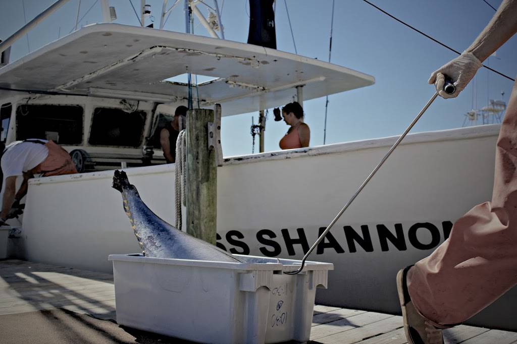 Chucks Fish Birmingham | restaurant | 5426 US-280, Birmingham, AL 35242, USA | 2059950495 OR +1 205-995-0495