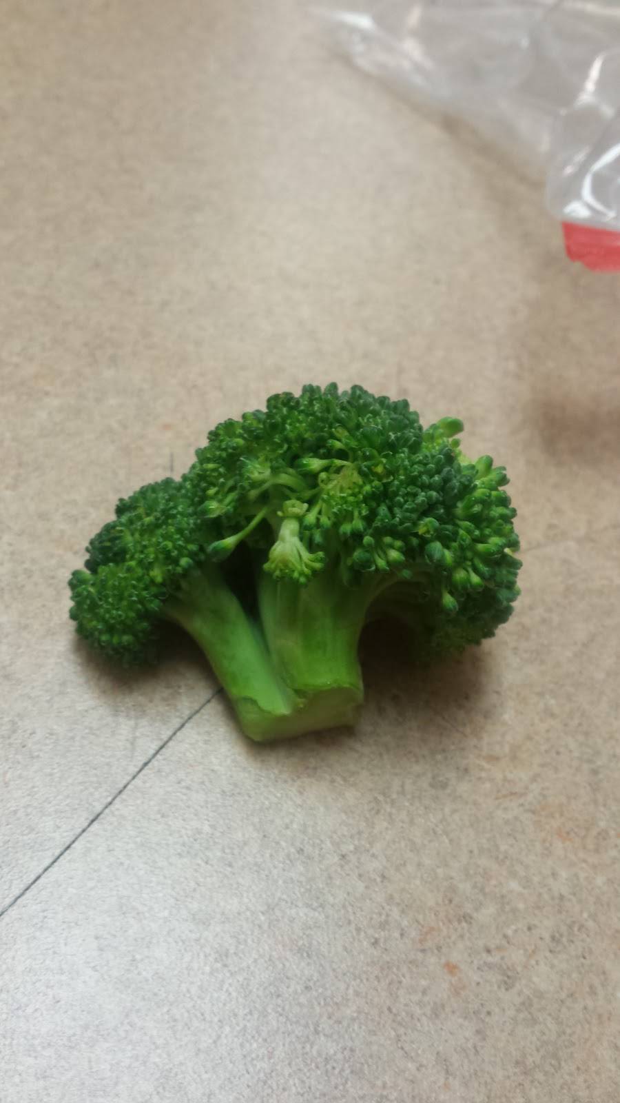 Wendys | restaurant | 352 OH-103, Bluffton, OH 45817, USA | 4193580413 OR +1 419-358-0413