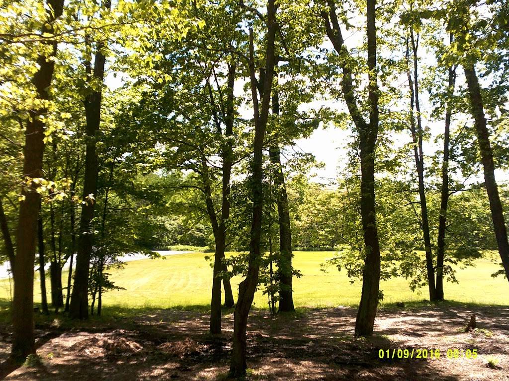 Carmens Country Inn and Gardens | restaurant | 364 Freedom Rd, Drums, PA 18222, USA | 5704553700 OR +1 570-455-3700