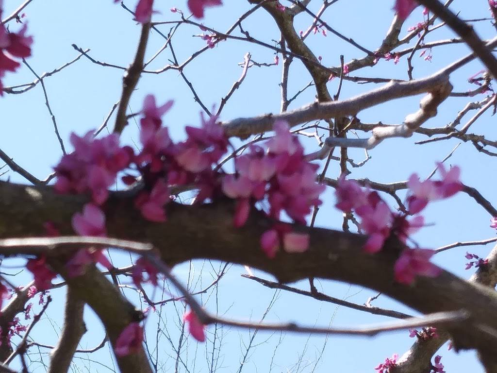 Bulldog Bait and Tackle | meal takeaway | 1300 Victory Dr, Columbus, GA 31901, USA | 7062570061 OR +1 706-257-0061