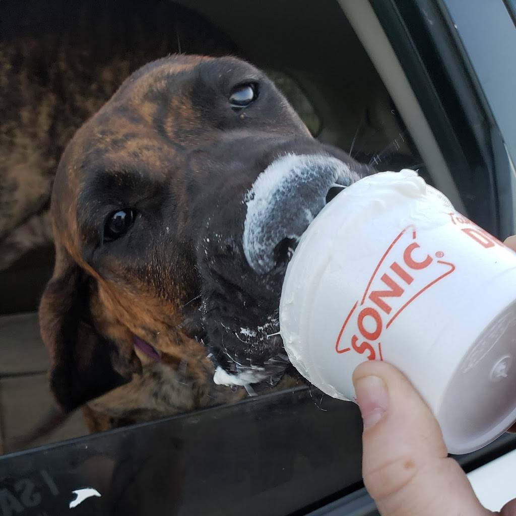 Sonic Drive-In | restaurant | 2612 SW Lee Blvd, Lawton, OK 73505, USA | 5803557781 OR +1 580-355-7781