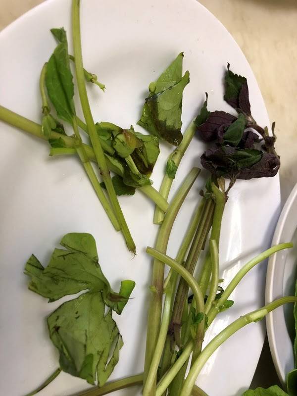 Thanh Hà Restaurant | restaurant | 9060 Bolsa Ave, Westminster, CA 92683, USA | 7148905709 OR +1 714-890-5709