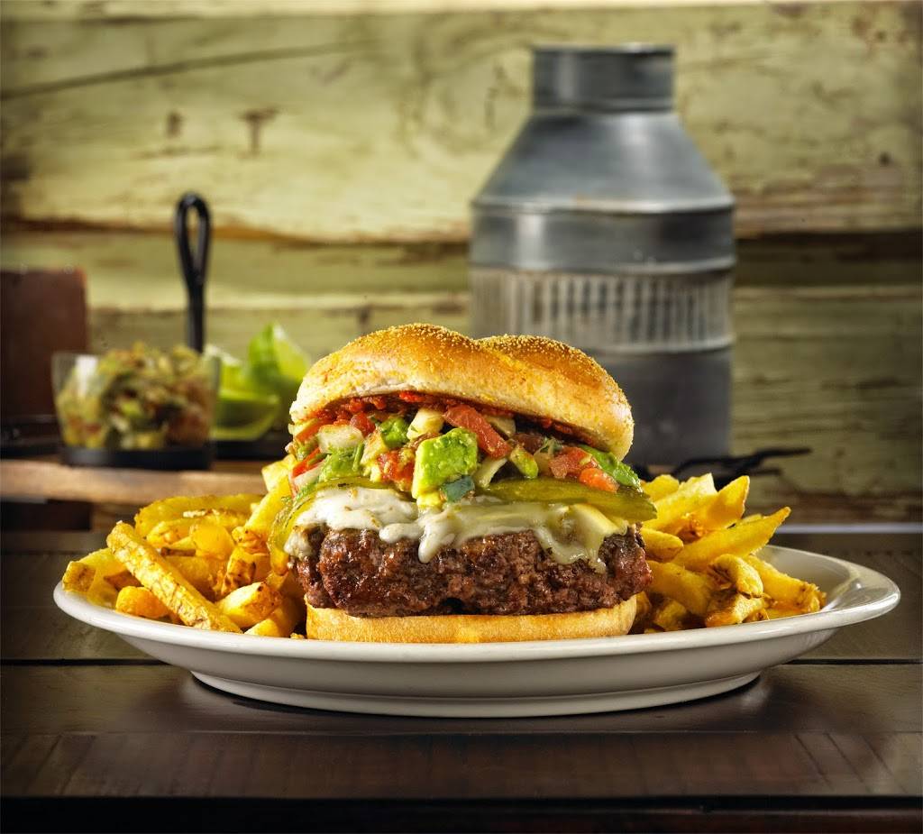 Teds Montana Grill | restaurant | 400 Union St a104, Westborough, MA 01581, USA | 5083665050 OR +1 508-366-5050