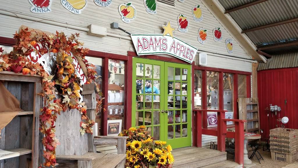 Love Creek Orchards/The Apple Store | bakery | 14024 TX-16 N, Medina, TX 78055, USA | 8302000302 OR +1 830-200-0302
