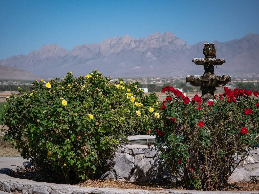 Rio Grande Vineyard & Winery | restaurant | 5321 Avenida de Mesilla, Las Cruces, NM 88005, USA | 5755243985 OR +1 575-524-3985