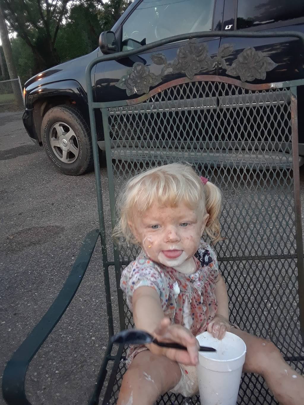 Dairy Creem | restaurant | 2939 Dadeville Rd, Alexander City, AL 35010, USA | 2562346199 OR +1 256-234-6199