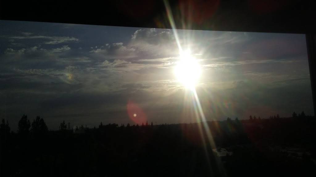 Pacifica Pizza | restaurant | 444 E Olive Ave, Fresno, CA 93728, USA | 5592683494 OR +1 559-268-3494