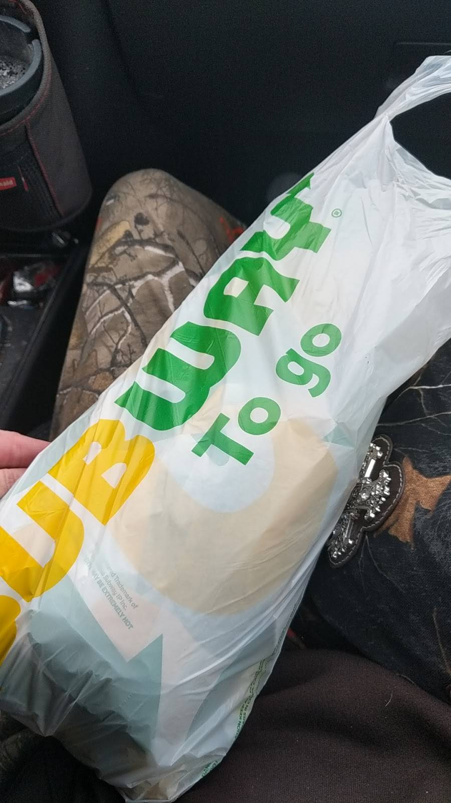 Subway | meal takeaway | 10 Sibley Pkwy, Mankato, MN 56001, USA | 5076257827 OR +1 507-625-7827