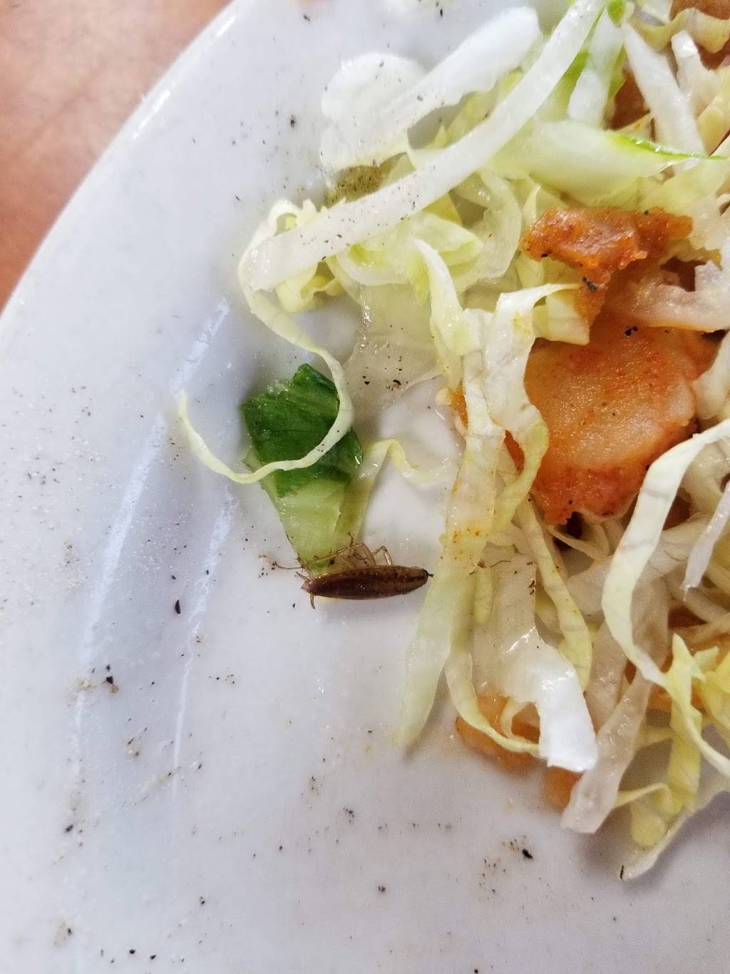 El Don Pichon | restaurant | 359 Southern Blvd, Bronx, NY 10454, USA | 7187422776 OR +1 718-742-2776