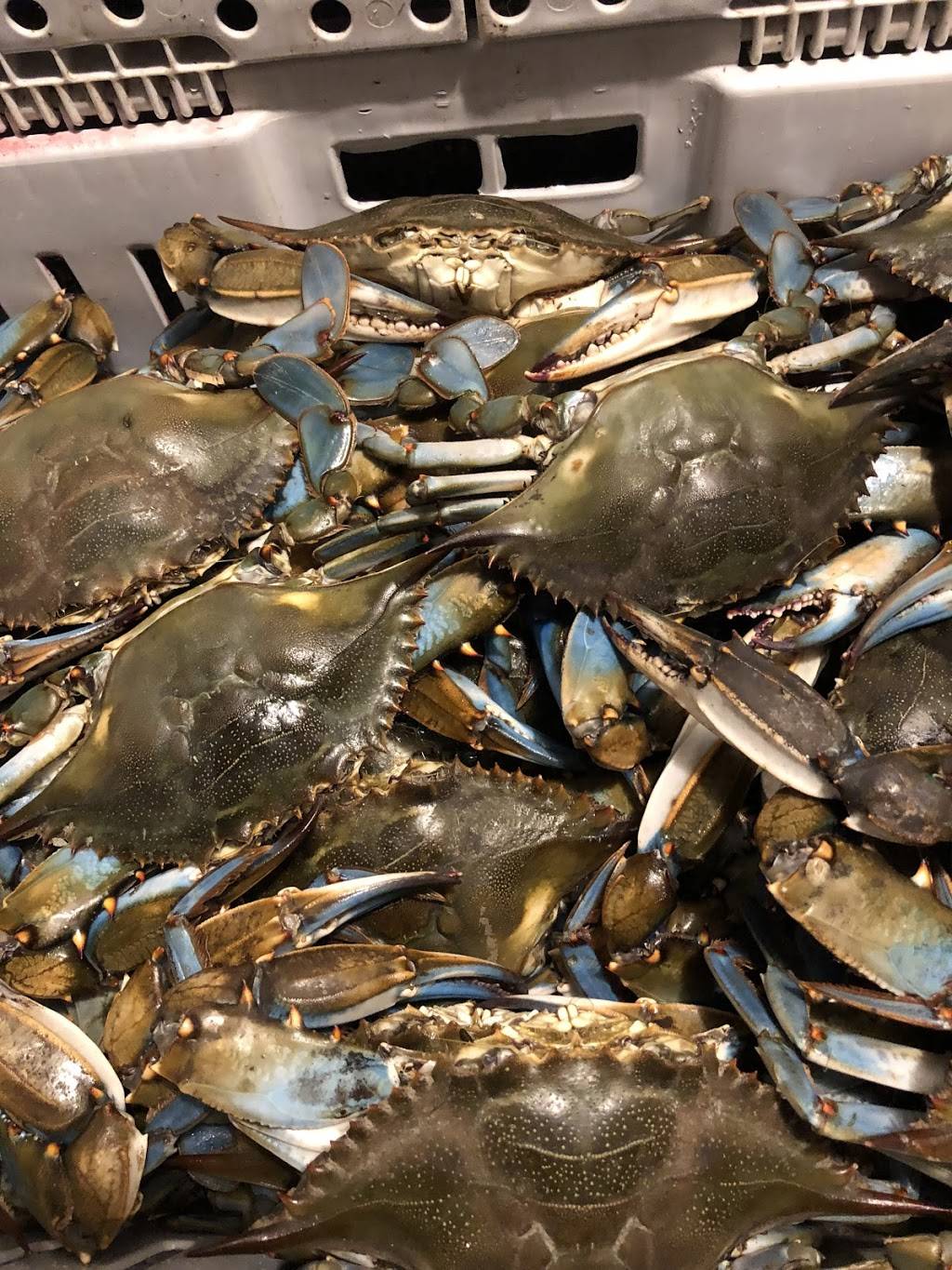 Crabs Out Back | restaurant | 2349, 305 W Main St, Rising Sun, MD 21911, USA | 4106583636 OR +1 410-658-3636