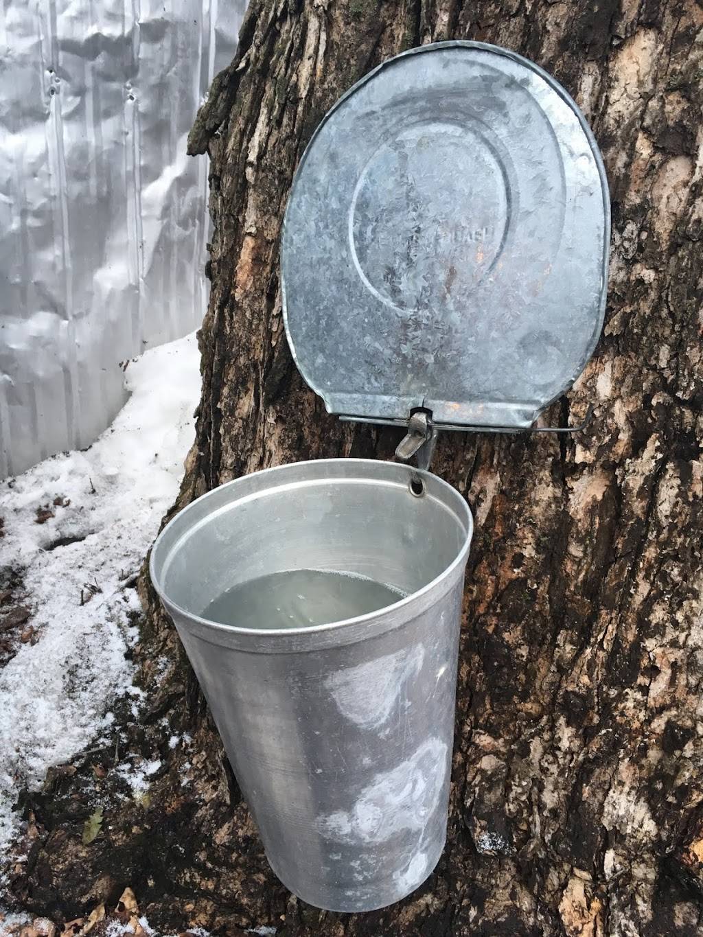 Cabane à sucre du Coteau | restaurant | 2200 Chemin du Coteau - des - Hêtres S, Saint-André-dArgenteuil, QC J0V 1X0, Canada | 4505373768 OR +1 450-537-3768